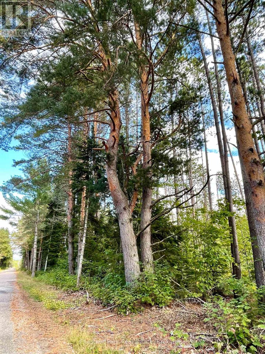 0 Cardwell Lake Road, Huntsville, Ontario  P0B 1M0 - Photo 17 - X12908454