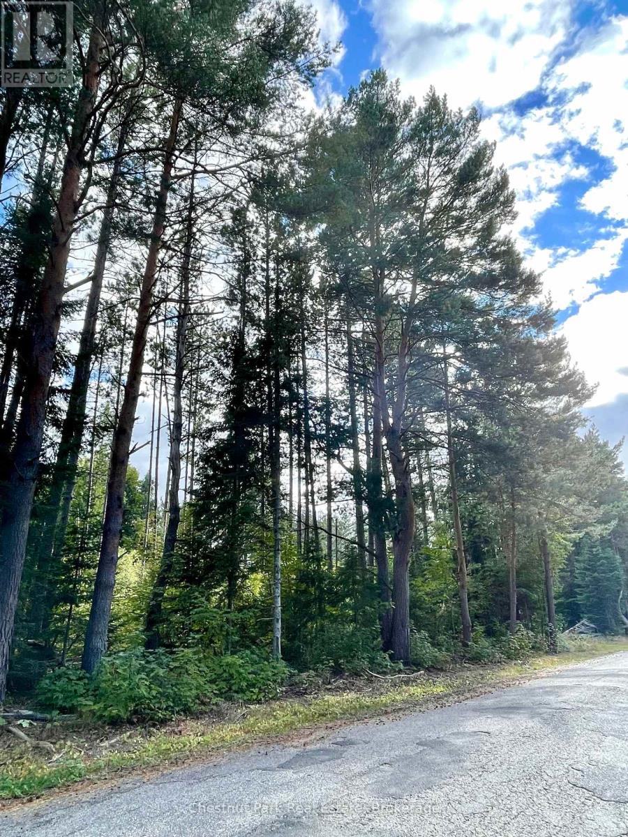 0 Cardwell Lake Road, Huntsville, Ontario  P0B 1M0 - Photo 18 - X12908454