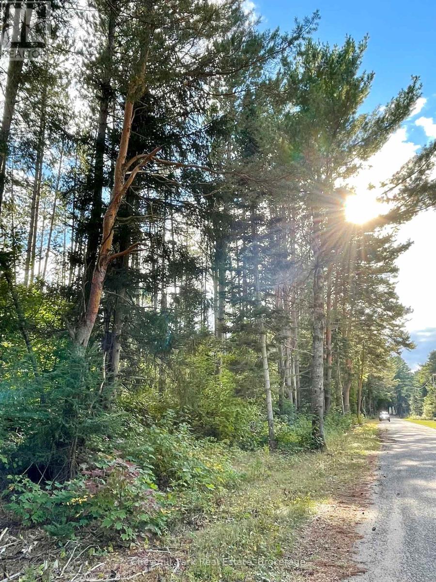 0 Cardwell Lake Road, Huntsville, Ontario  P0B 1M0 - Photo 19 - X12908454