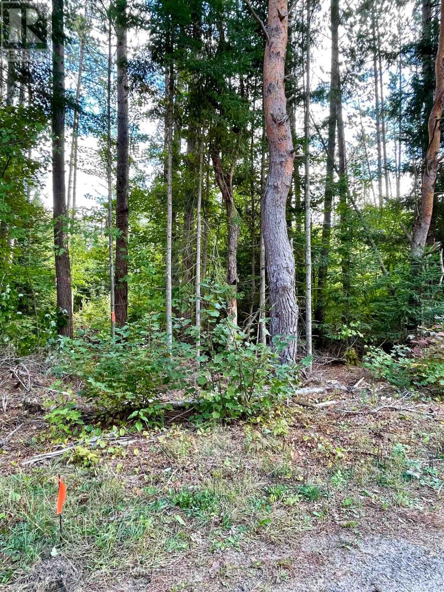 0 Cardwell Lake Road, Huntsville, Ontario  P0B 1M0 - Photo 20 - X12908454