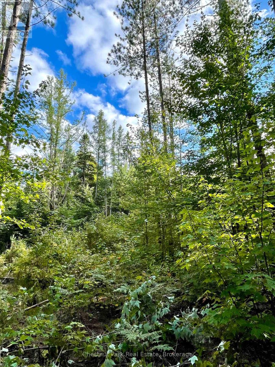 0 Cardwell Lake Road, Huntsville, Ontario  P0B 1M0 - Photo 21 - X12908454