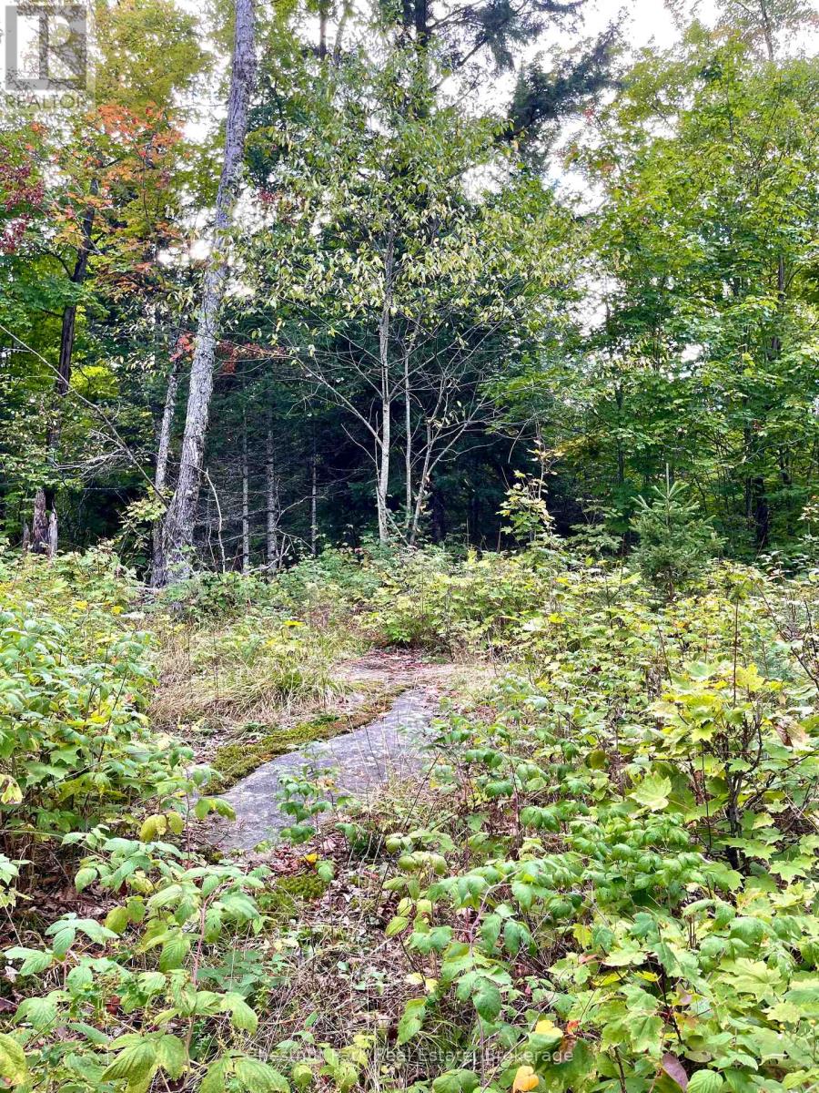 0 Cardwell Lake Road, Huntsville, Ontario  P0B 1M0 - Photo 26 - X12908454