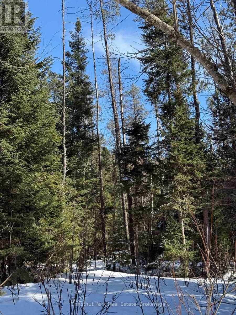 0 Cardwell Lake Road, Huntsville, Ontario  P0B 1M0 - Photo 35 - X12908454