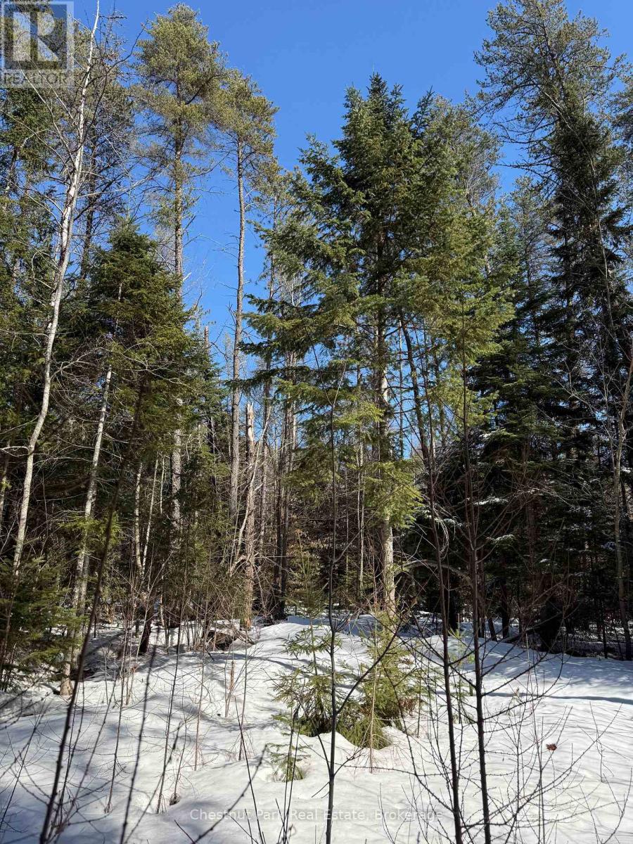 0 Cardwell Lake Road, Huntsville, Ontario  P0B 1M0 - Photo 36 - X12908454