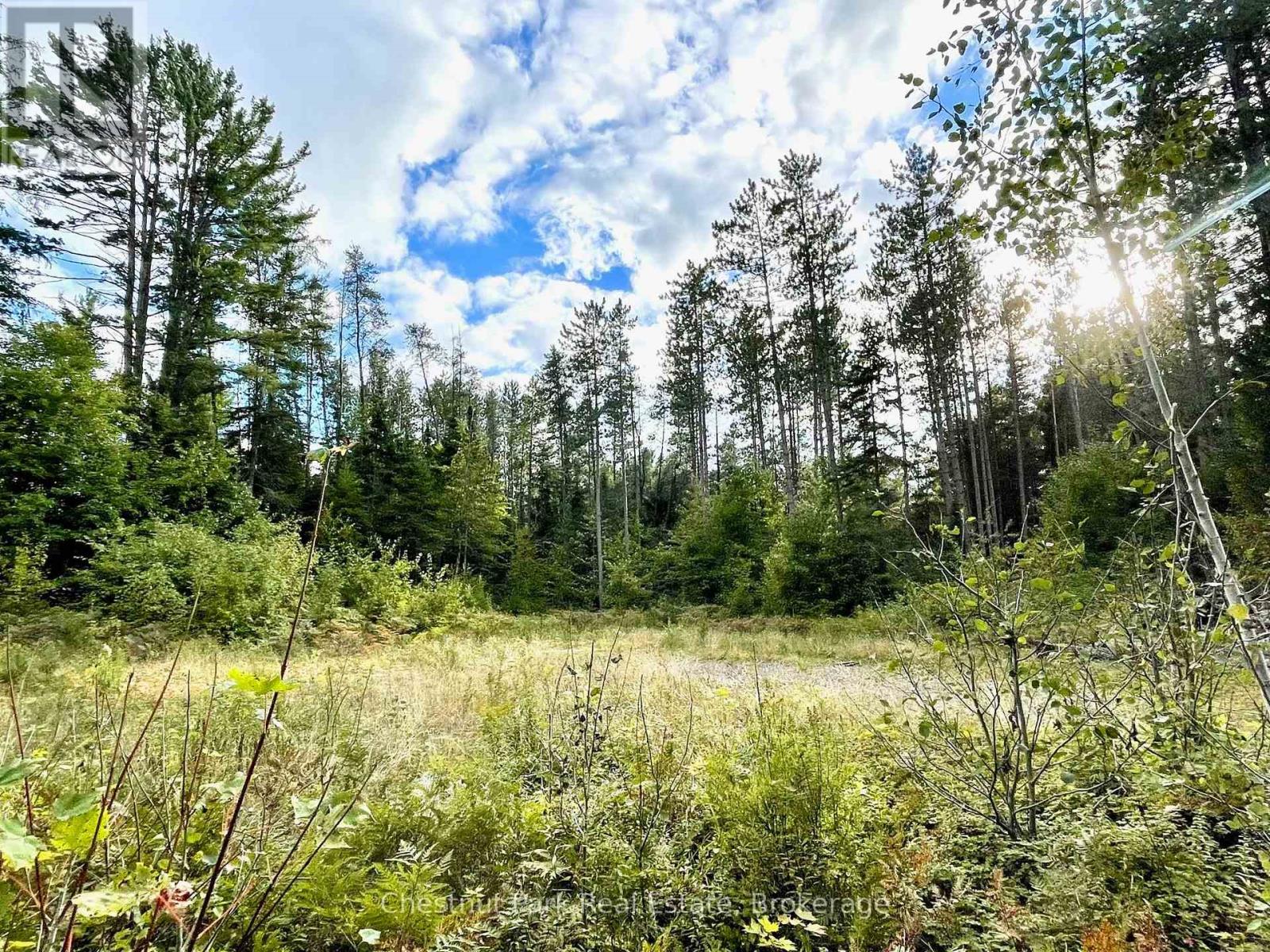 0 Cardwell Lake Road, Huntsville, Ontario  P0B 1M0 - Photo 4 - X12908454