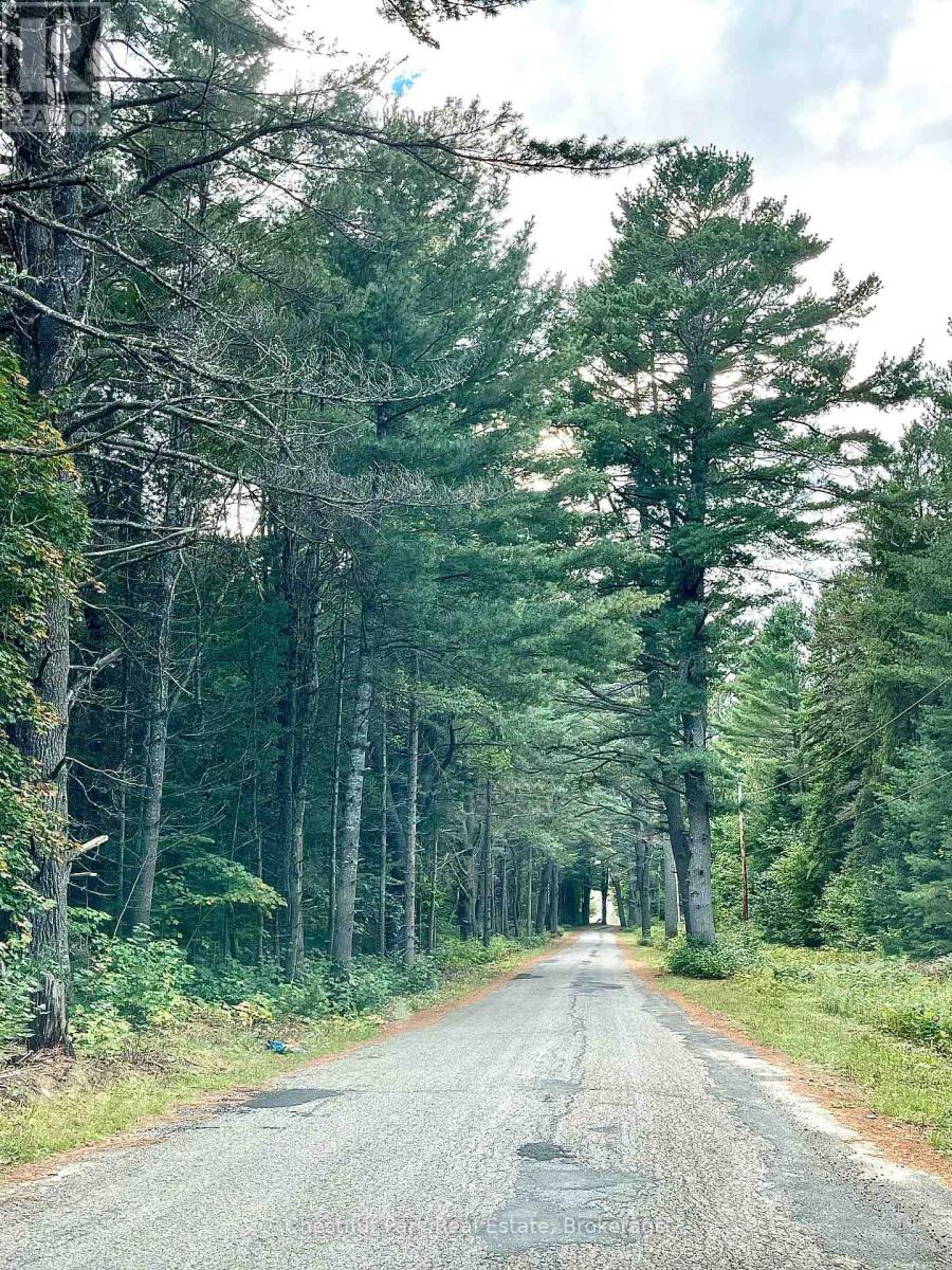 0 Cardwell Lake Road, Huntsville, Ontario  P0B 1M0 - Photo 5 - X12908454