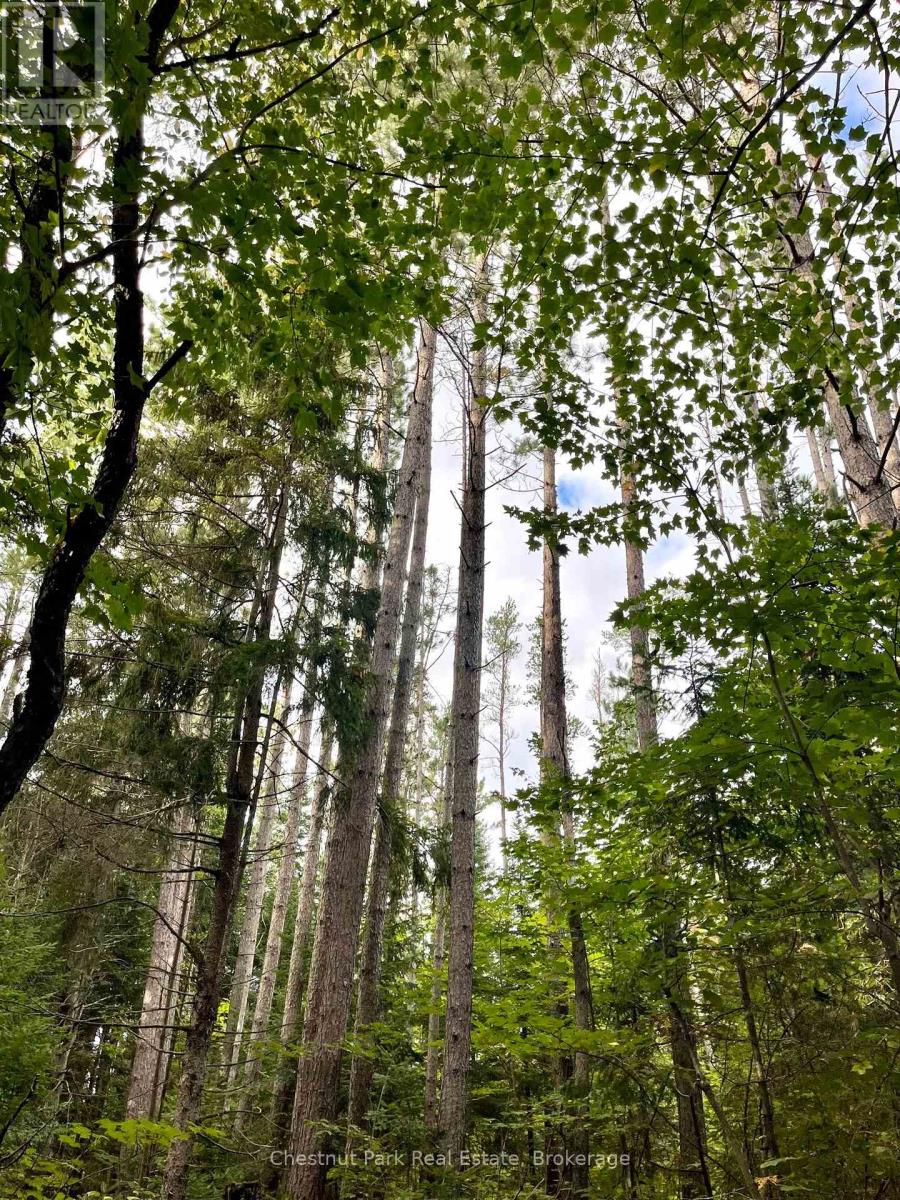 0 Cardwell Lake Road, Huntsville, Ontario  P0B 1M0 - Photo 8 - X12908454