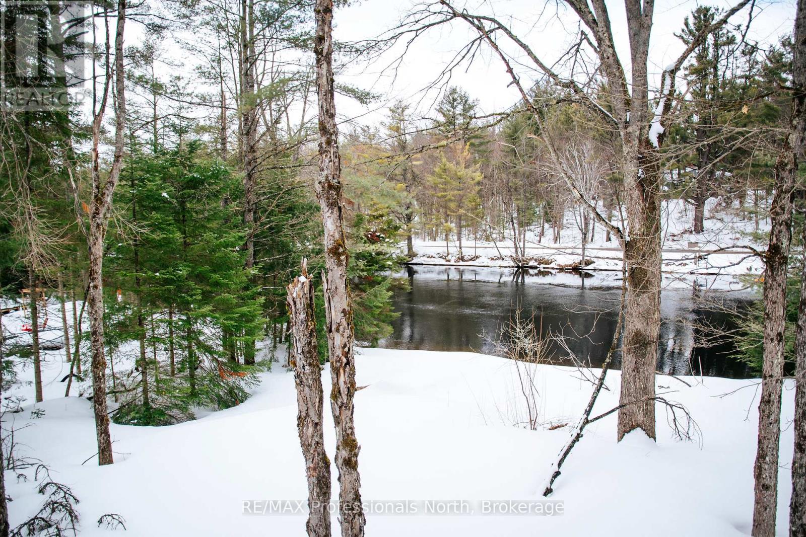 1114 River Haven Road N, Bracebridge, Ontario  P1L 1X1 - Photo 20 - X12912192