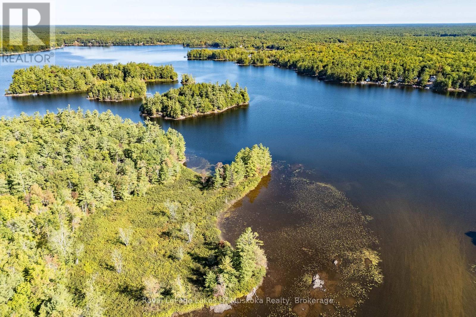 1010 Tara Lane, Gravenhurst, Ontario  P0E 1N0 - Photo 40 - X12913780