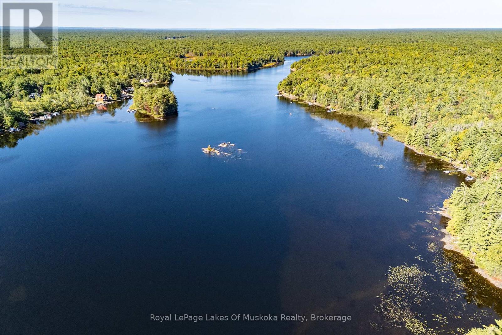 1010 Tara Lane, Gravenhurst, Ontario  P0E 1N0 - Photo 42 - X12913780