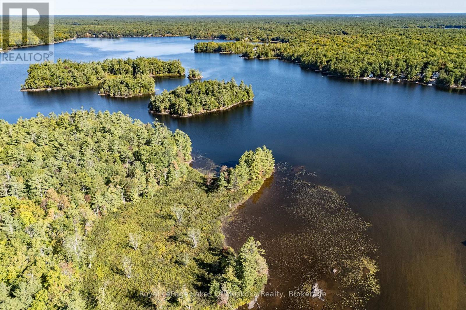 1010 Tara Lane, Gravenhurst, Ontario  P0E 1N0 - Photo 44 - X12913780