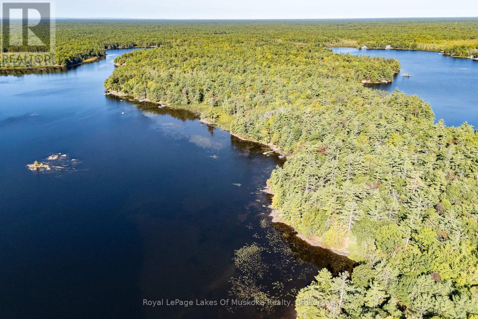 1010 Tara Lane, Gravenhurst, Ontario  P0E 1N0 - Photo 45 - X12913780