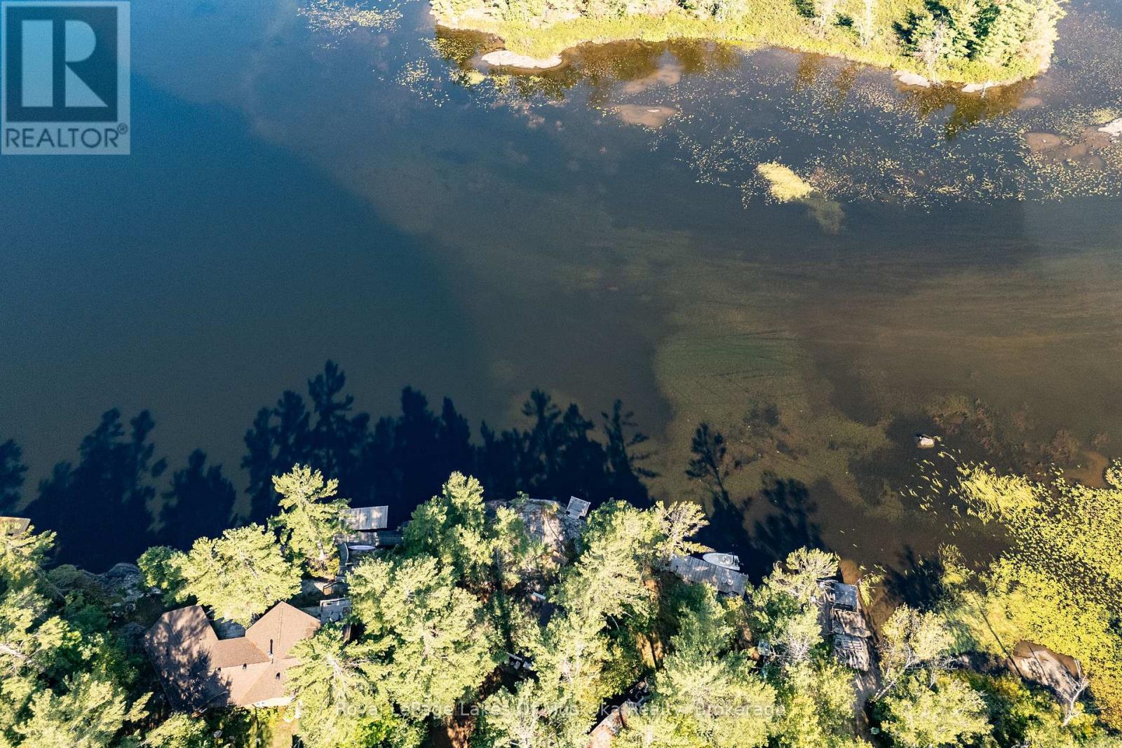 1010 Tara Lane, Gravenhurst, Ontario  P0E 1N0 - Photo 48 - X12913780