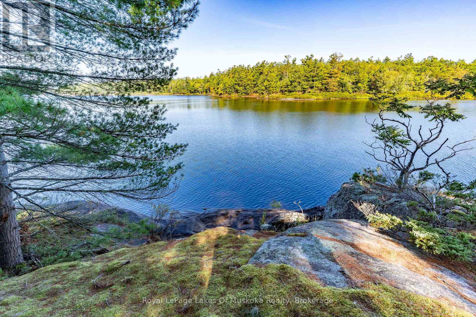 1010 Tara Lane, Gravenhurst, Ontario  P0E 1N0 - Photo 7 - X12913780