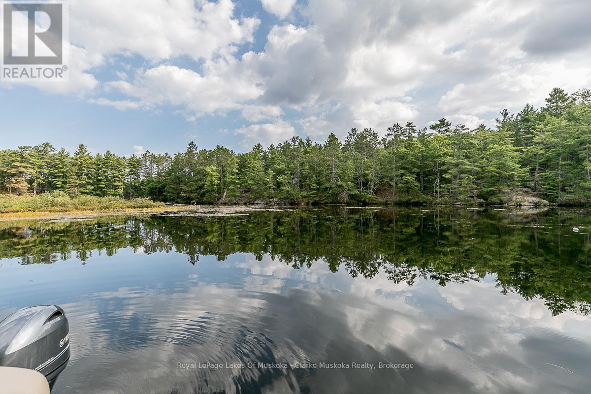 4 Severn River Shore, Muskoka Lakes, Ontario  P0C 1M0 - Photo 34 - X12914224