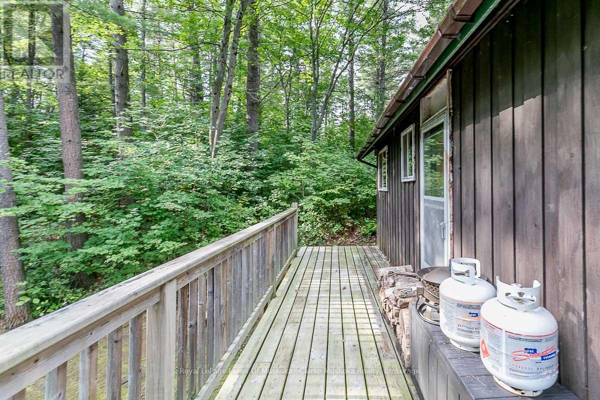 4 Severn River Shore, Muskoka Lakes, Ontario  P0C 1M0 - Photo 40 - X12914224