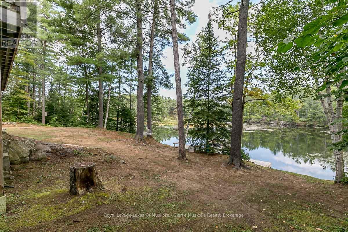 4 Severn River Shore, Muskoka Lakes, Ontario  P0C 1M0 - Photo 46 - X12914224