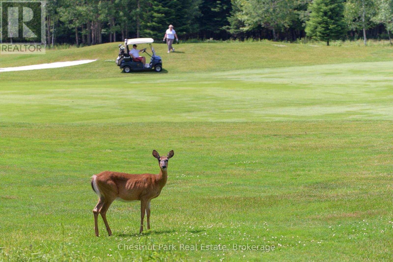 Bigwin Island - 13 - Unit 8 Bigwin Island, Lake Of Bays, Ontario  P0A 1H0 - Photo 23 - X12914830