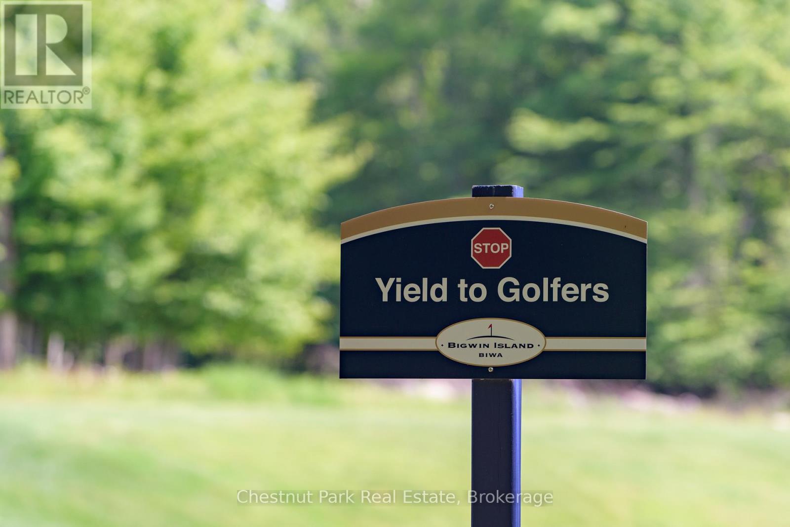 Bigwin Island - 13 - Unit 8 Bigwin Island, Lake Of Bays, Ontario  P0A 1H0 - Photo 24 - X12914830