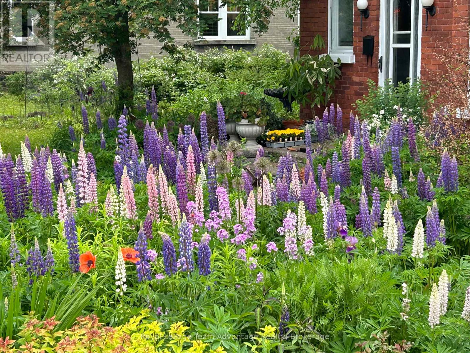 79 Gibson Street, Parry Sound, Ontario  P2A 1X4 - Photo 46 - X12916182