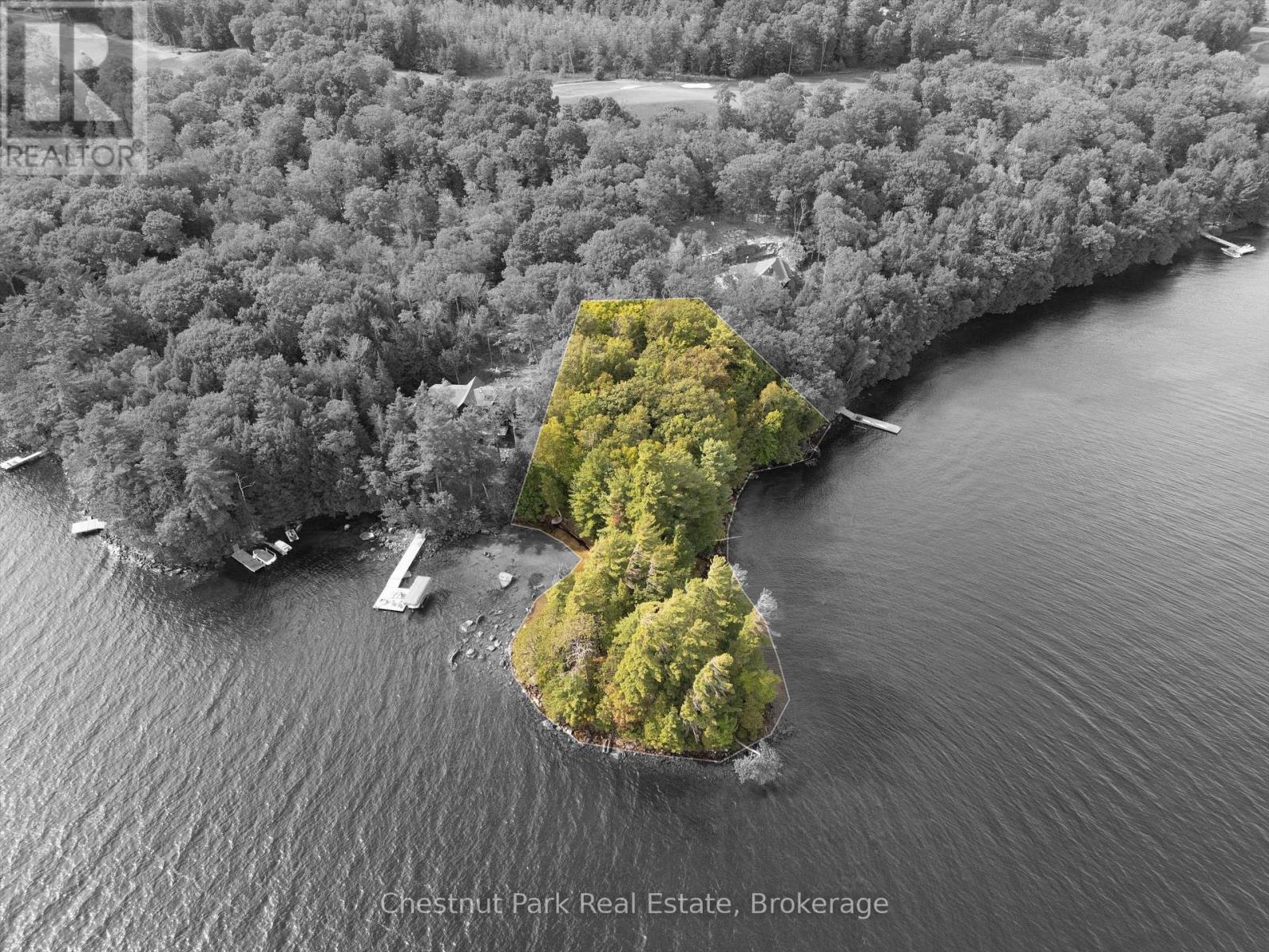 32 Bigwin Island, Lake Of Bays, Ontario  P0B 1A0 - Photo 1 - X12918672