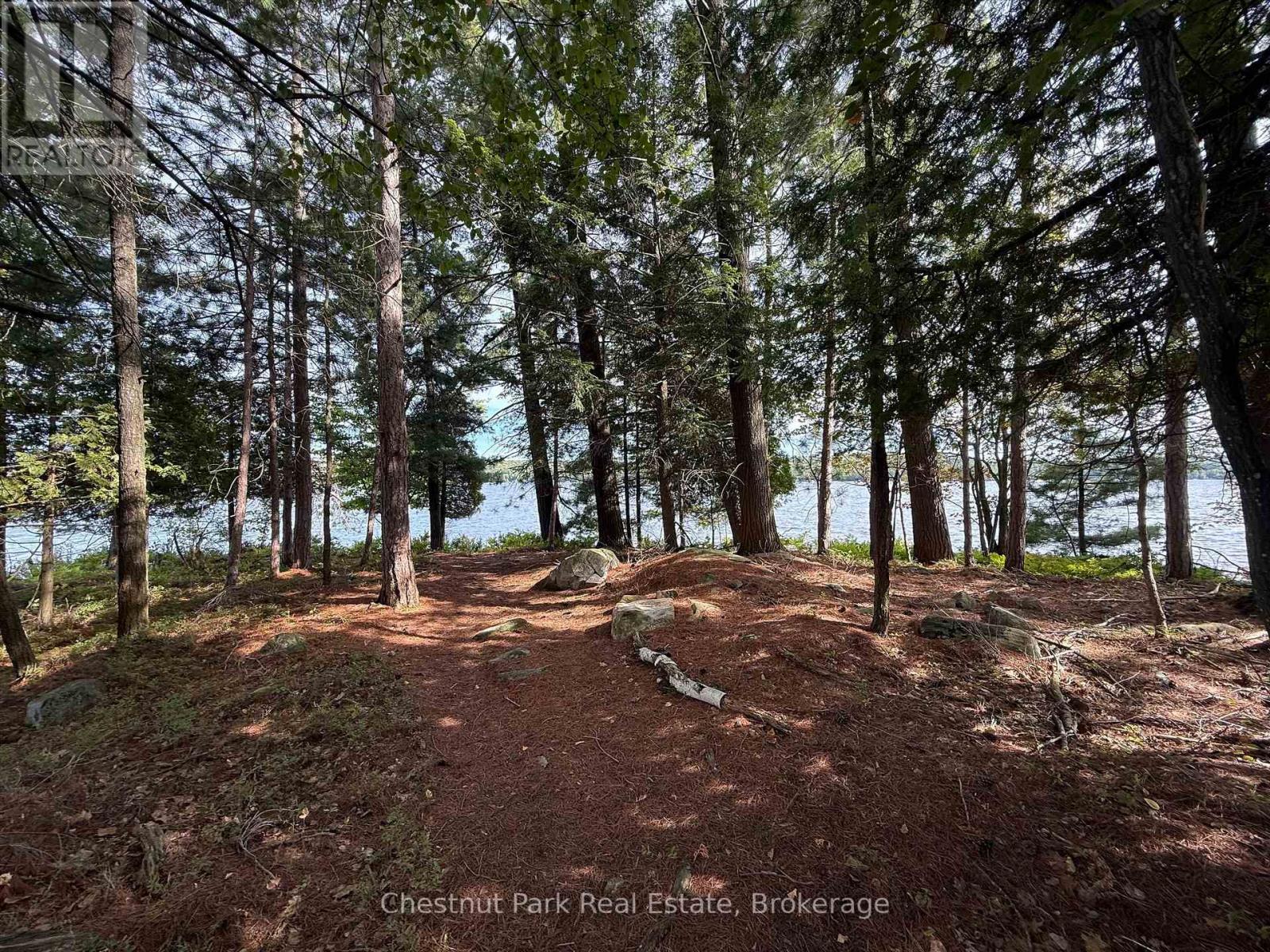 32 Bigwin Island, Lake Of Bays, Ontario  P0B 1A0 - Photo 15 - X12918672