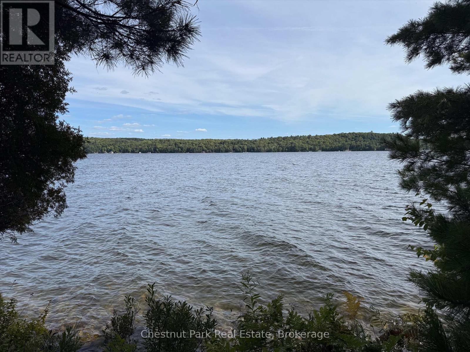 32 Bigwin Island, Lake Of Bays, Ontario  P0B 1A0 - Photo 16 - X12918672