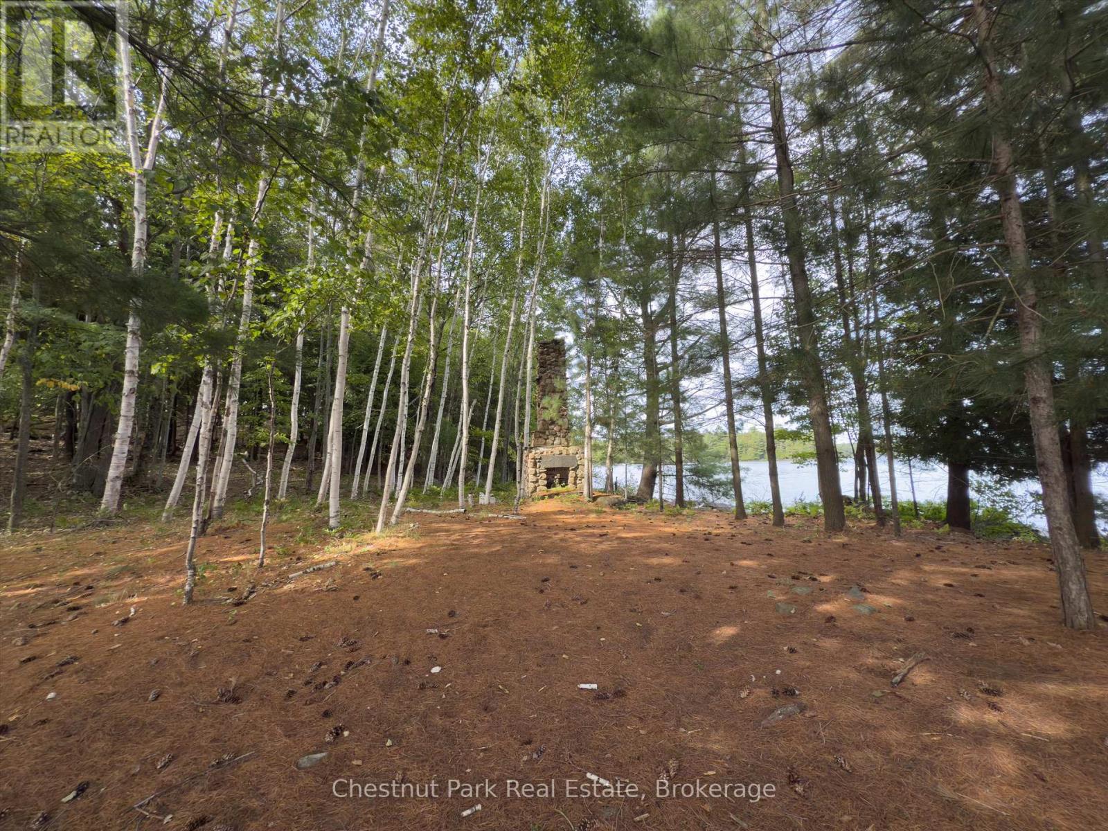 32 Bigwin Island, Lake Of Bays, Ontario  P0B 1A0 - Photo 18 - X12918672