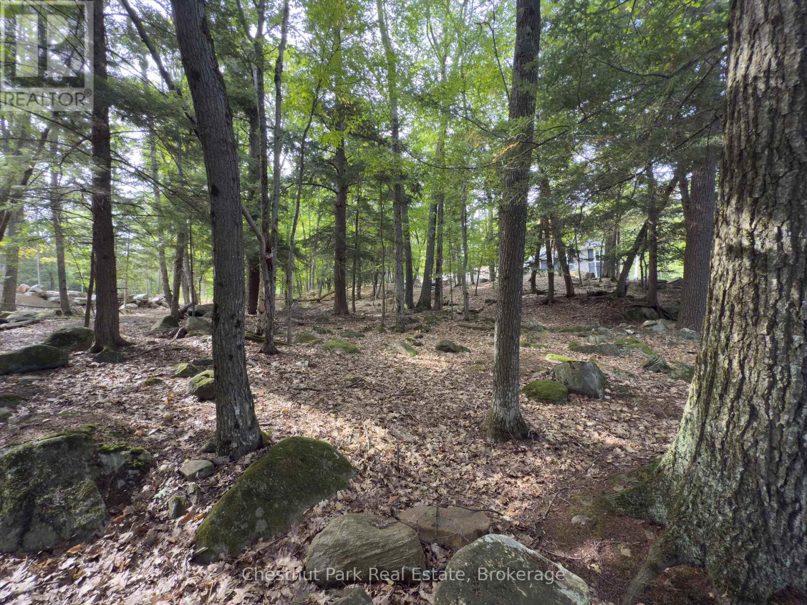 32 Bigwin Island, Lake Of Bays, Ontario  P0B 1A0 - Photo 20 - X12918672