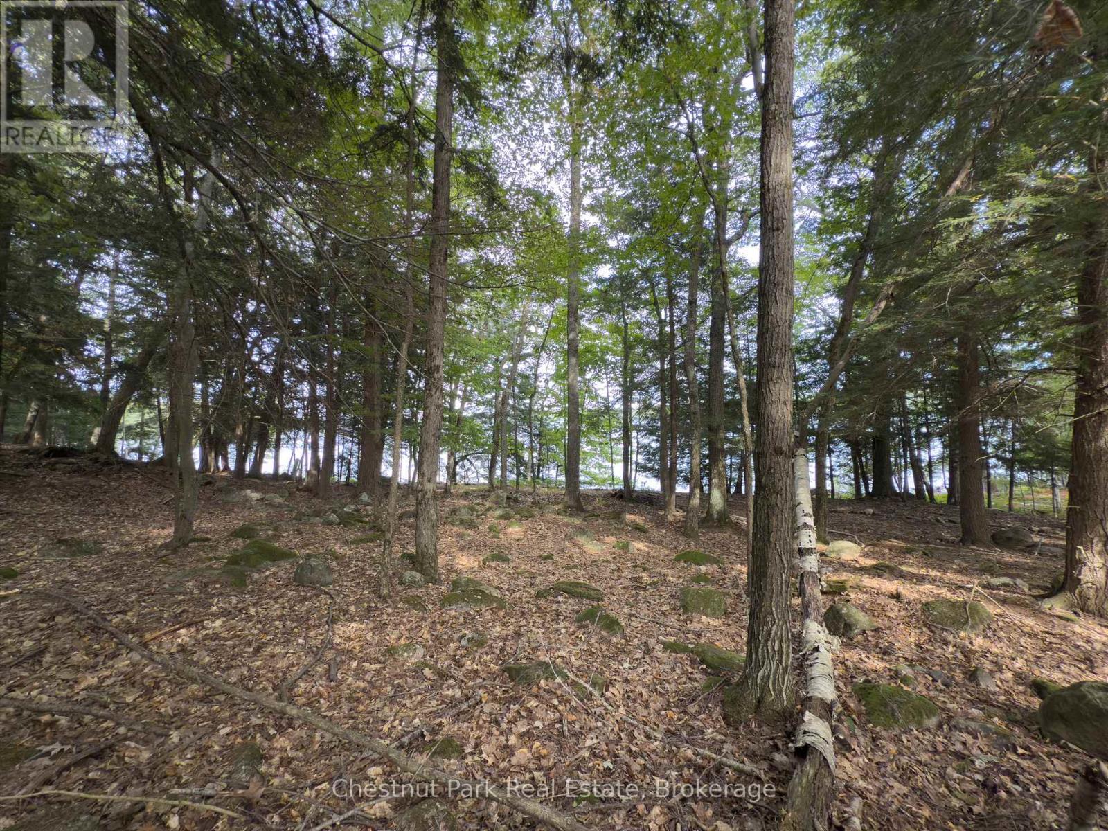 32 Bigwin Island, Lake Of Bays, Ontario  P0B 1A0 - Photo 22 - X12918672