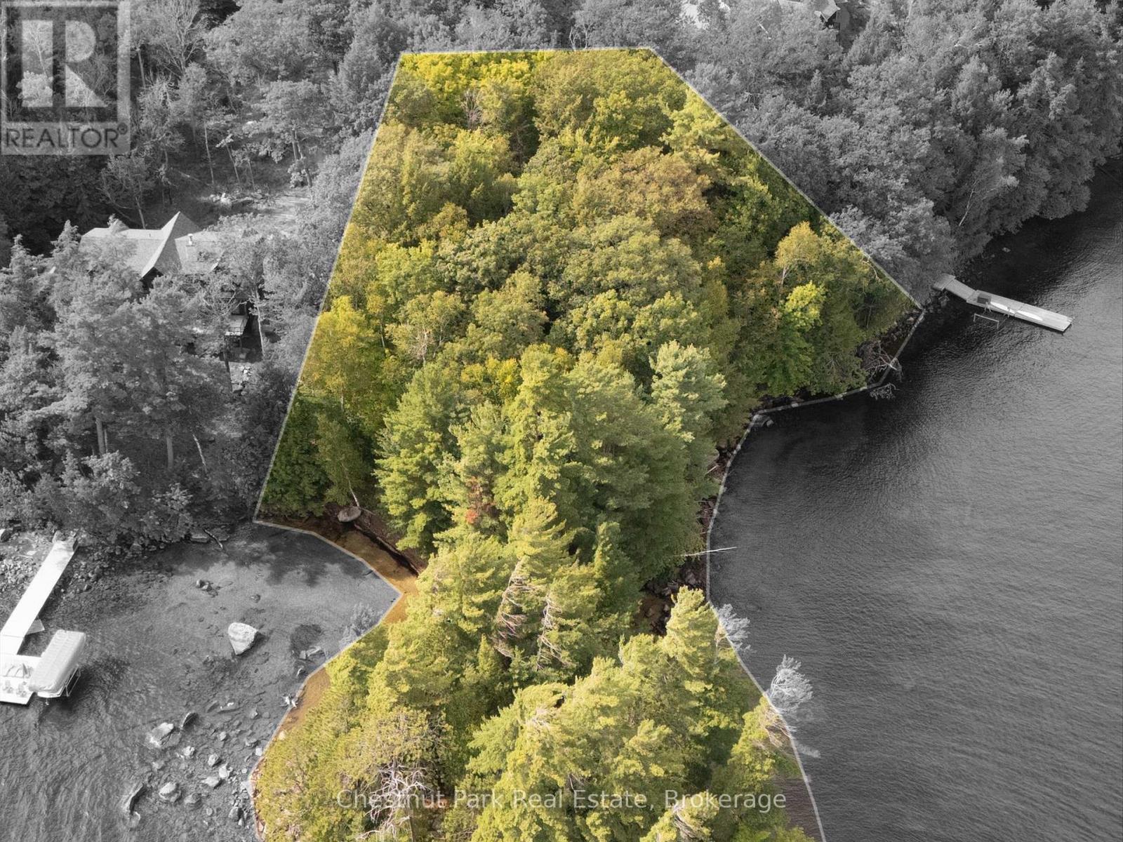 32 Bigwin Island, Lake Of Bays, Ontario  P0B 1A0 - Photo 3 - X12918672