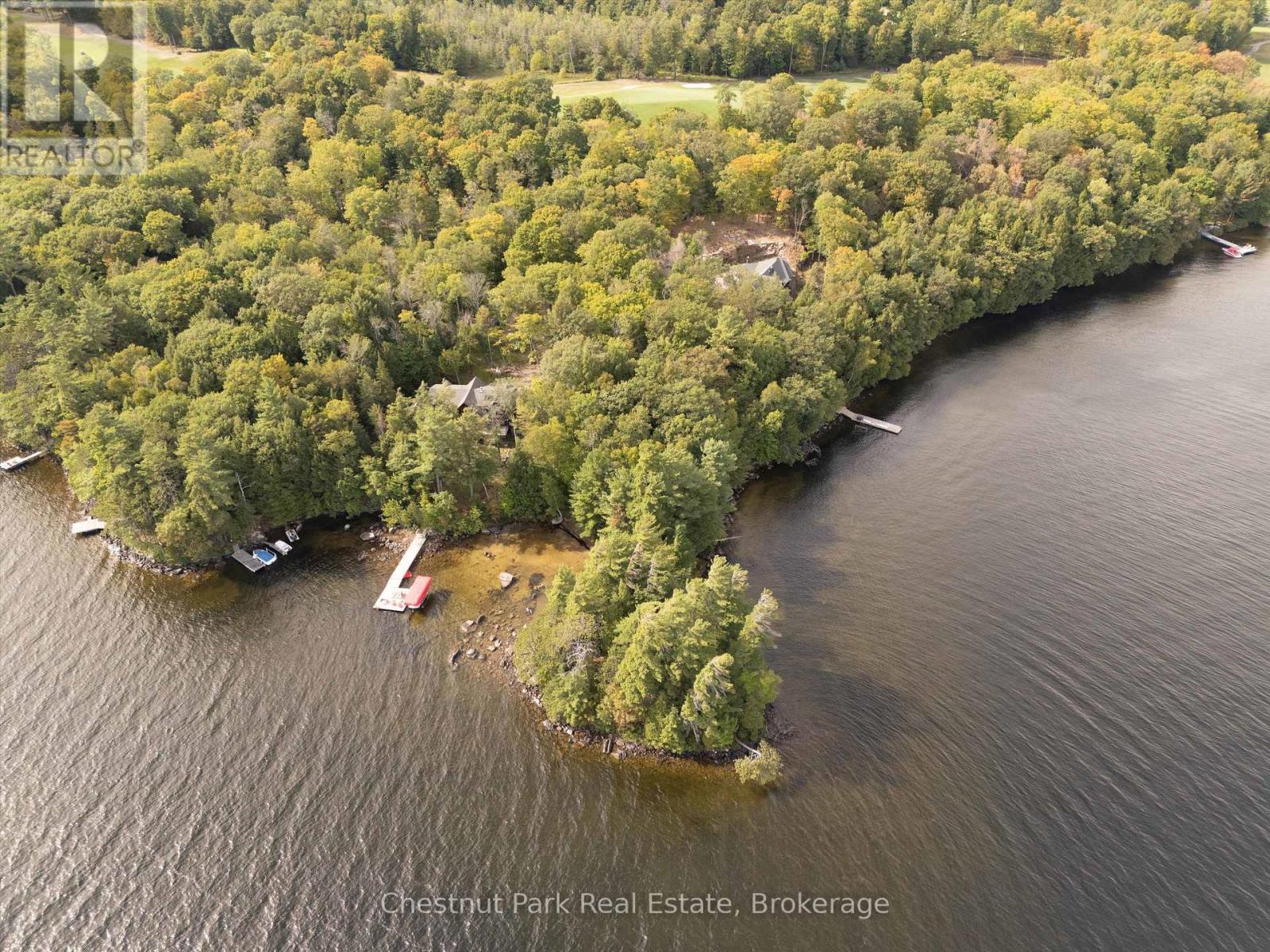 32 Bigwin Island, Lake Of Bays, Ontario  P0B 1A0 - Photo 4 - X12918672