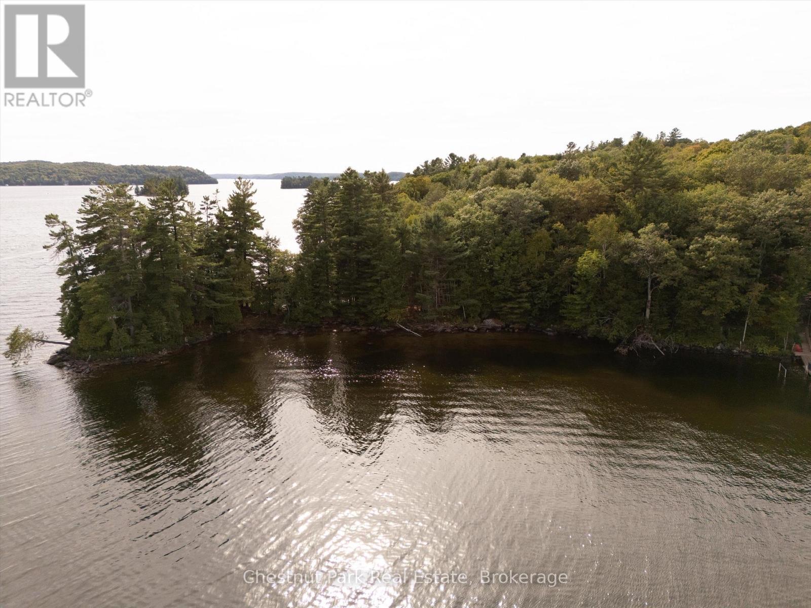 32 Bigwin Island, Lake Of Bays, Ontario  P0B 1A0 - Photo 7 - X12918672