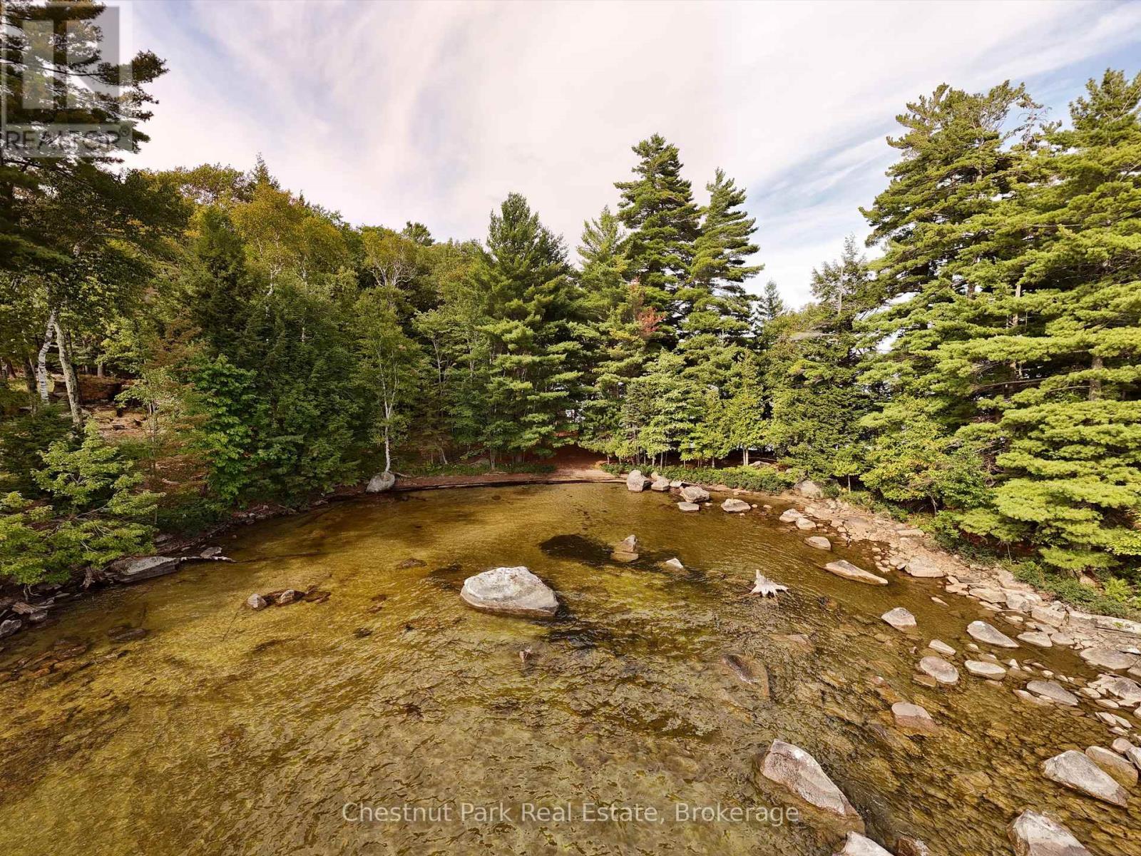 32 Bigwin Island, Lake Of Bays, Ontario  P0B 1A0 - Photo 8 - X12918672