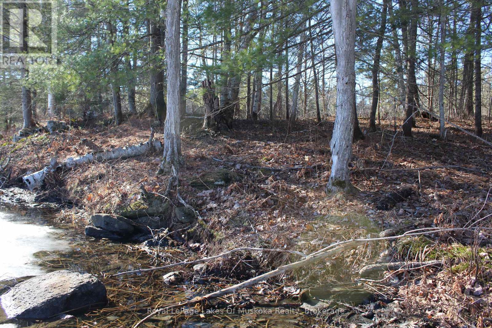 Pt Lts H&i Island 12sr Island, Gravenhurst, Ontario  P0E 1G0 - Photo 4 - X12918844