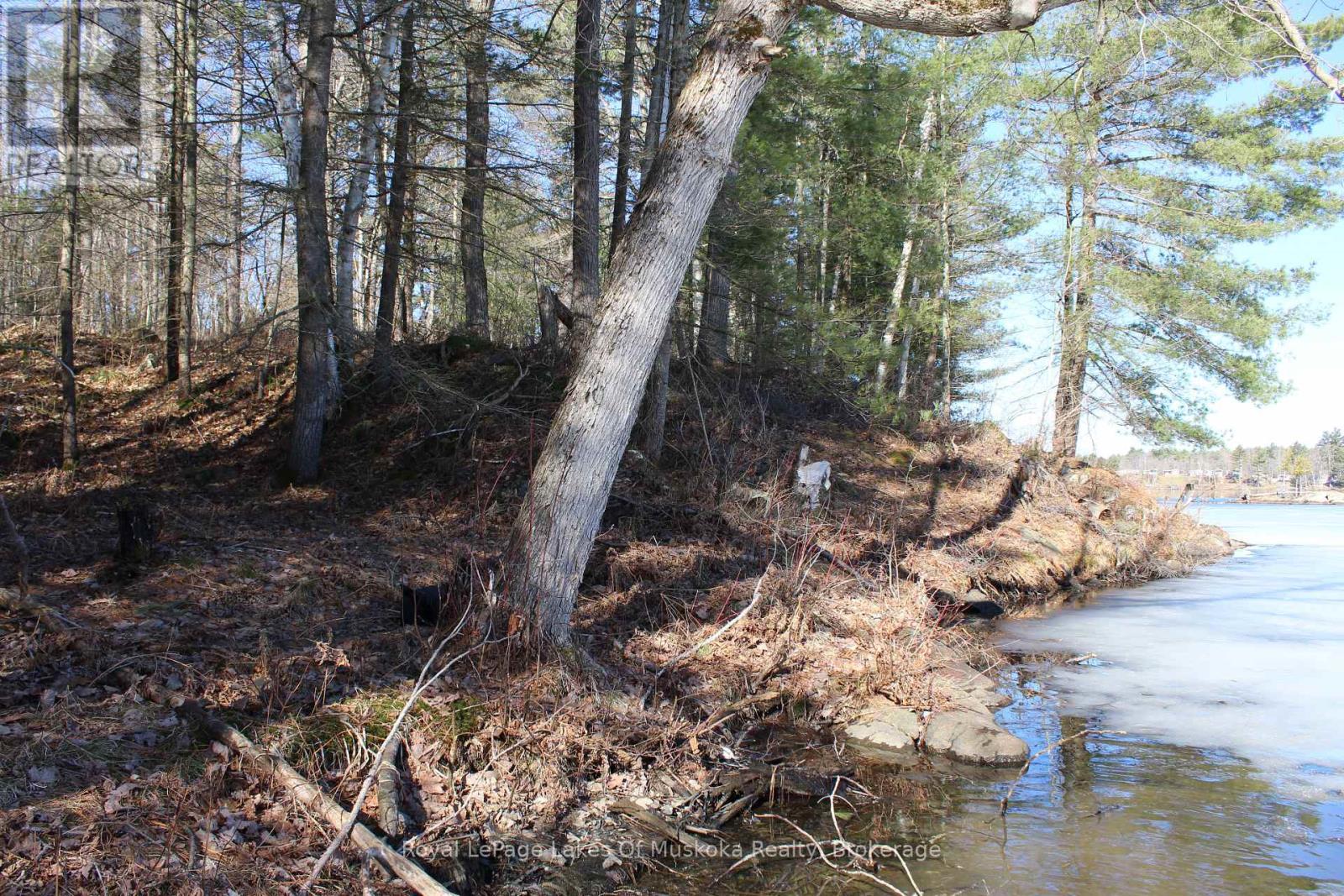 Pt Lts H&i Island 12sr Island, Gravenhurst, Ontario  P0E 1G0 - Photo 5 - X12918844