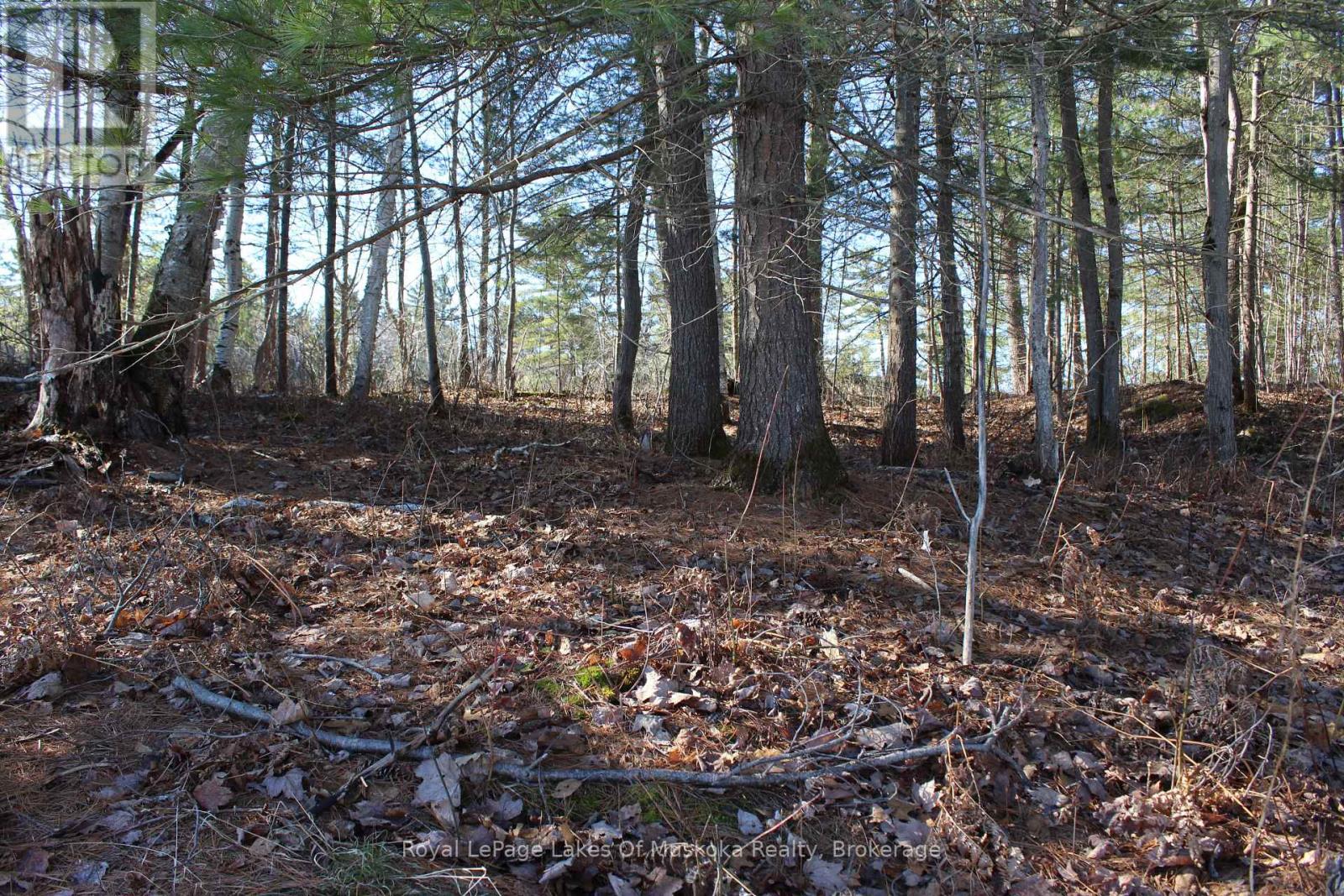 Pt Lts H&i Island 12sr Island, Gravenhurst, Ontario  P0E 1G0 - Photo 6 - X12918844