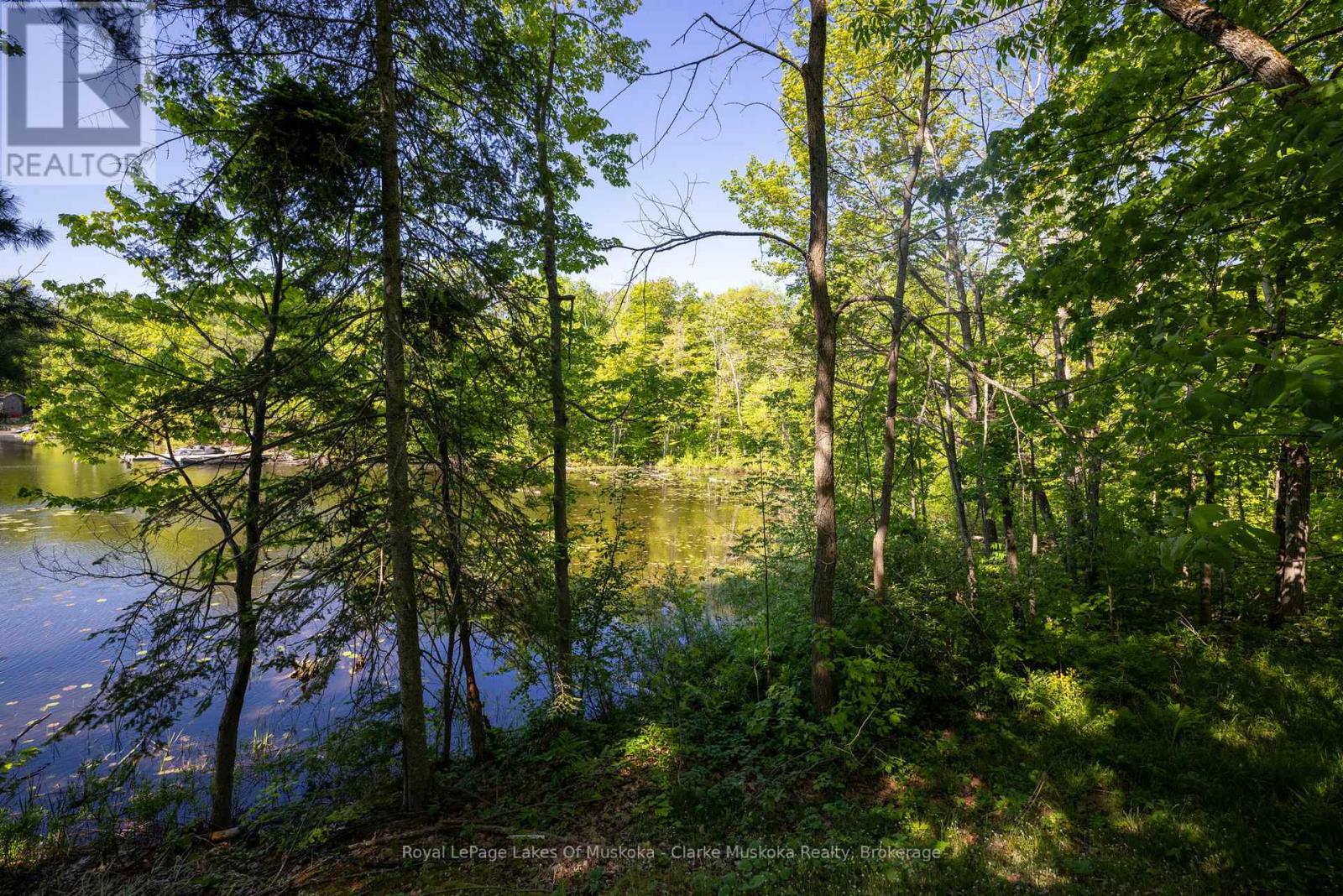 520 Sweets Portage Road, Georgian Bay, Ontario  L0K 1S0 - Photo 5 - X12920948