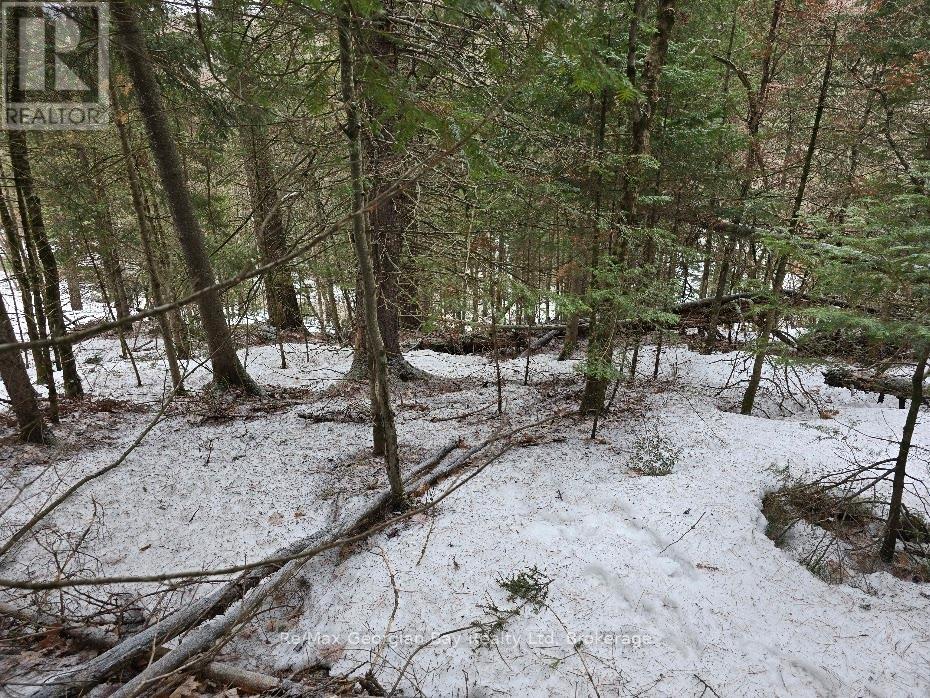 107 Balsam Chutes Road, Huntsville, Ontario  P0B 1L0 - Photo 10 - X12924538