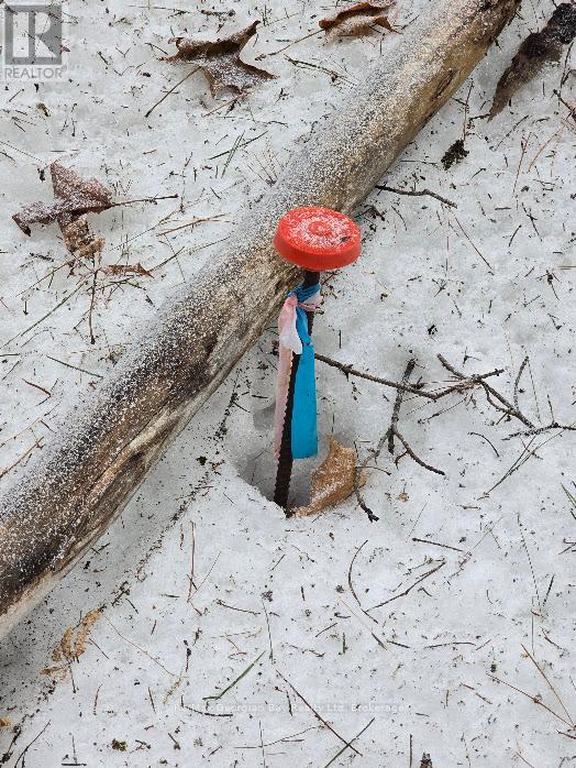 107 Balsam Chutes Road, Huntsville, Ontario  P0B 1L0 - Photo 11 - X12924538