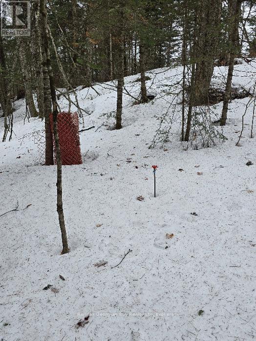 107 Balsam Chutes Road, Huntsville, Ontario  P0B 1L0 - Photo 12 - X12924538