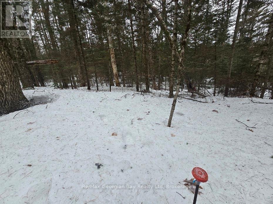 107 Balsam Chutes Road, Huntsville, Ontario  P0B 1L0 - Photo 13 - X12924538