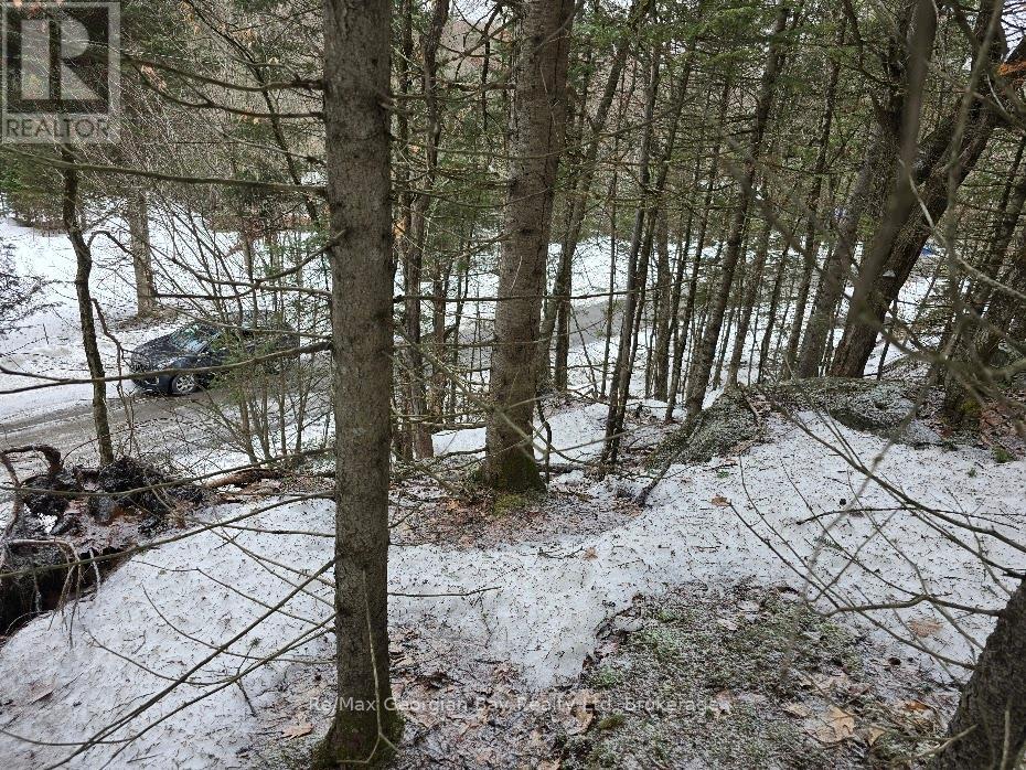 107 Balsam Chutes Road, Huntsville, Ontario  P0B 1L0 - Photo 14 - X12924538