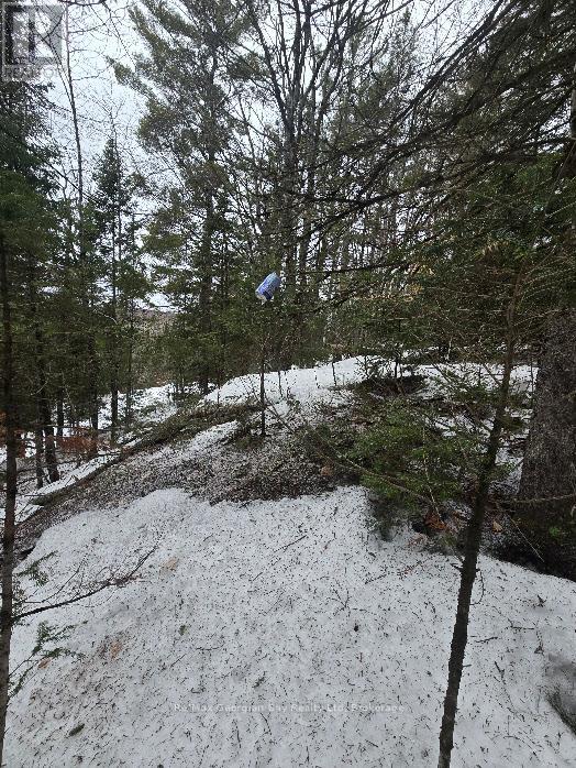 107 Balsam Chutes Road, Huntsville, Ontario  P0B 1L0 - Photo 15 - X12924538