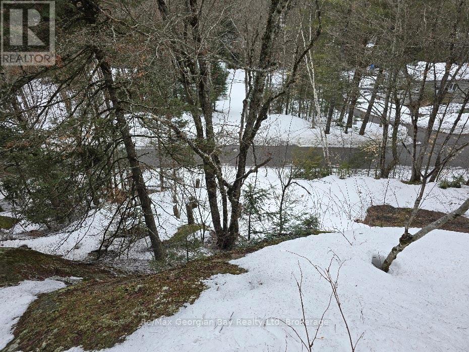 107 Balsam Chutes Road, Huntsville, Ontario  P0B 1L0 - Photo 16 - X12924538