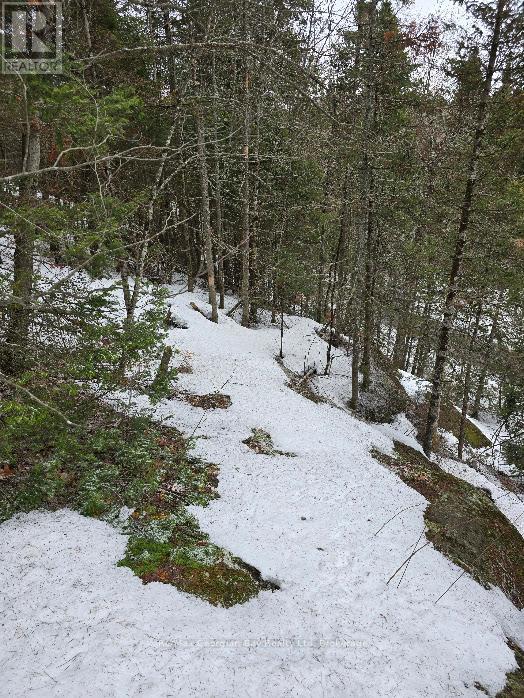 107 Balsam Chutes Road, Huntsville, Ontario  P0B 1L0 - Photo 17 - X12924538