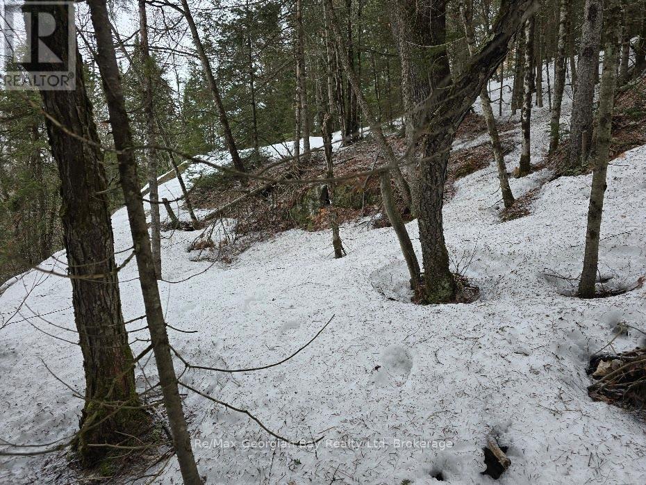 107 Balsam Chutes Road, Huntsville, Ontario  P0B 1L0 - Photo 18 - X12924538