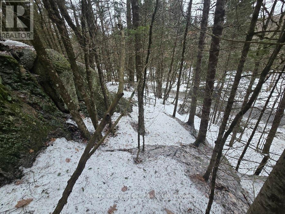 107 Balsam Chutes Road, Huntsville, Ontario  P0B 1L0 - Photo 19 - X12924538