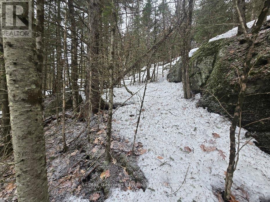 107 Balsam Chutes Road, Huntsville, Ontario  P0B 1L0 - Photo 20 - X12924538