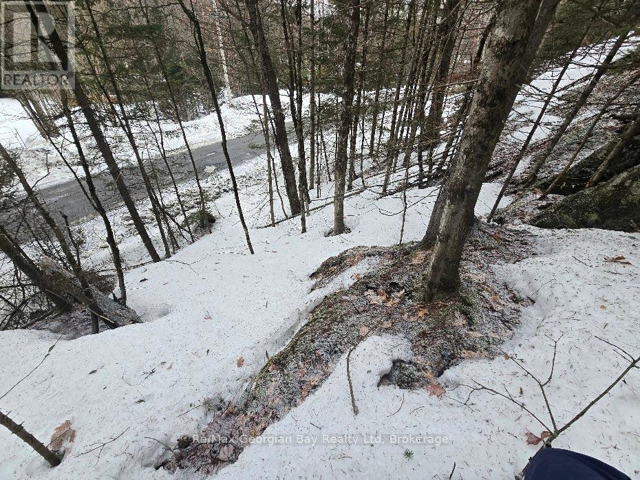 107 Balsam Chutes Road, Huntsville, Ontario  P0B 1L0 - Photo 21 - X12924538